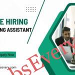 Marketing Assistant