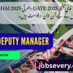 Deputy Manager